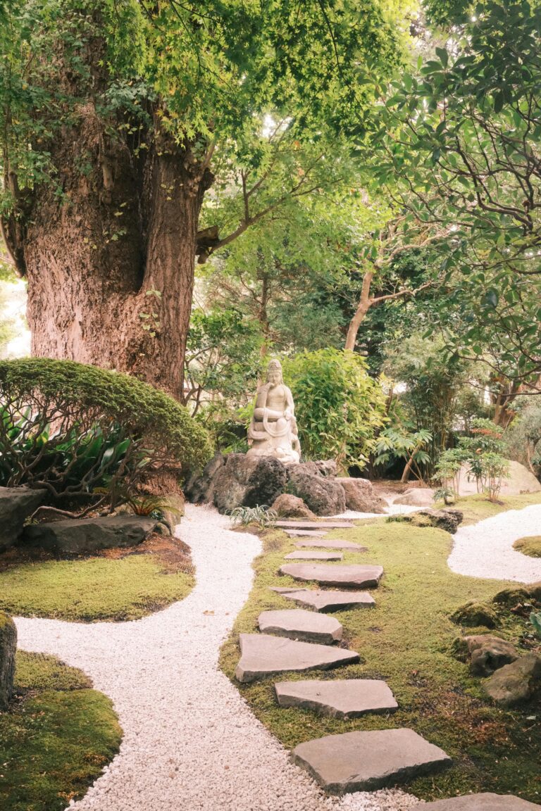 How Therapy Has Evolved and How We Practice Trauma-Informed Care Today