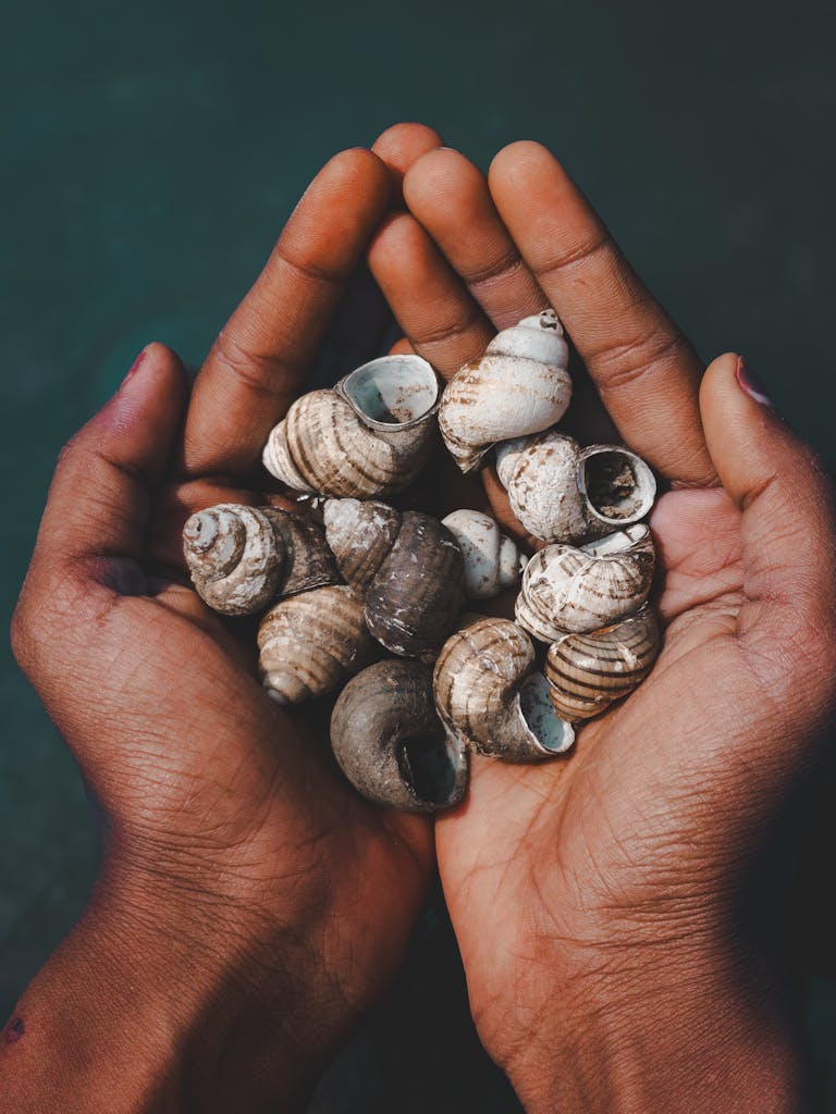 Trauma disrupts how the brain processes safety and attachment. When someone has lived in cycles of tension, harm, reconciliation, and unpredictability, the nervous system adapts to survive. Hypervigilance becomes normal. Walking on eggshells becomes automatic. Your body learned to scan for danger before your conscious mind could fully make sense of what was happening.