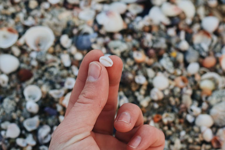 For many people, Ketamine-Assisted Psychotherapy becomes less about escaping reality—and more about reconnecting with themselves in a grounded, supported, and healing way. Contact us today to explore if KAP may be a helpful therapeutic approach for your mental health and wellness goals.