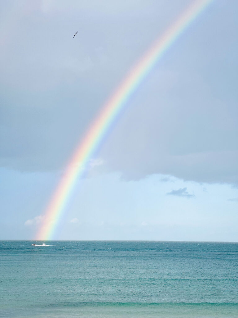 neurodivergent