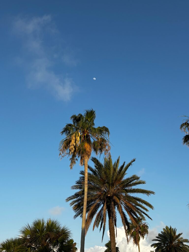 At Harmony Harbor Counseling & Wellness in Sarasota, we believe relationships deserve care before they reach a breaking point. Whether you are navigating conflict, rebuilding trust, experiencing family estrangement, adjusting to parenthood, or simply realizing that your relationship doesn't feel quite like you anymore, support is available. Our approach to couples therapy, relationship therapy, and family therapy in Sarasota is compassionate, collaborative, and grounded in evidence-informed care.