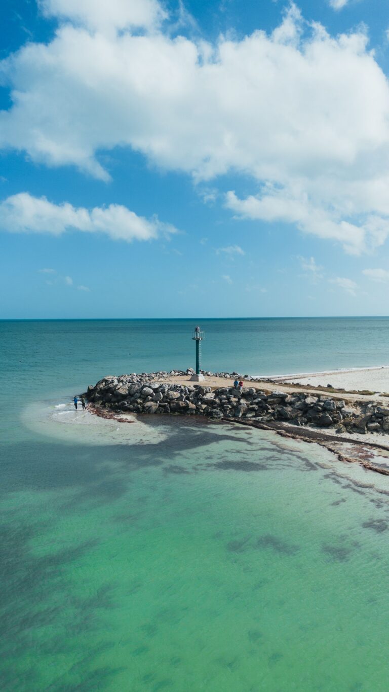 At Harmony Harbor Counseling & Wellness, our approach to couples therapy, relationship therapy, and family therapy in Sarasota reflects something we believe deeply: mental and relational wellness are about more than getting through a crisis. They are about creating the conditions in which people and relationships can flourish. You don't have to wait until something is falling apart to take care of it.